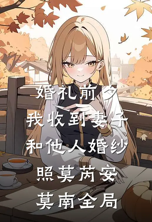 婚礼前夕，我收到妻子和他人婚纱照莫芮安莫南全局