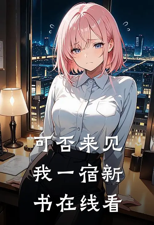 可否来见我一宿新书在线看