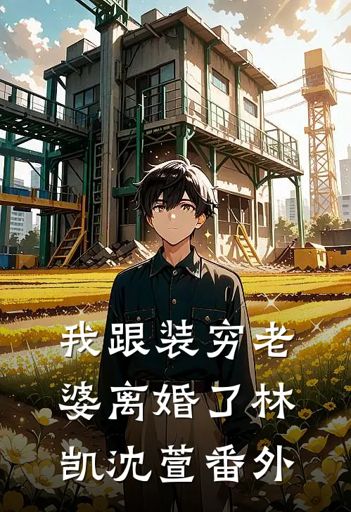 我跟装穷老婆离婚了林凯沈萱 番外