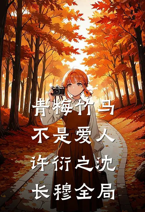 青梅竹马，不是爱人许衍之沈长穆全局