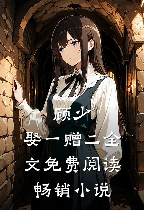 顾少,娶一赠二全文免费阅读畅销小说