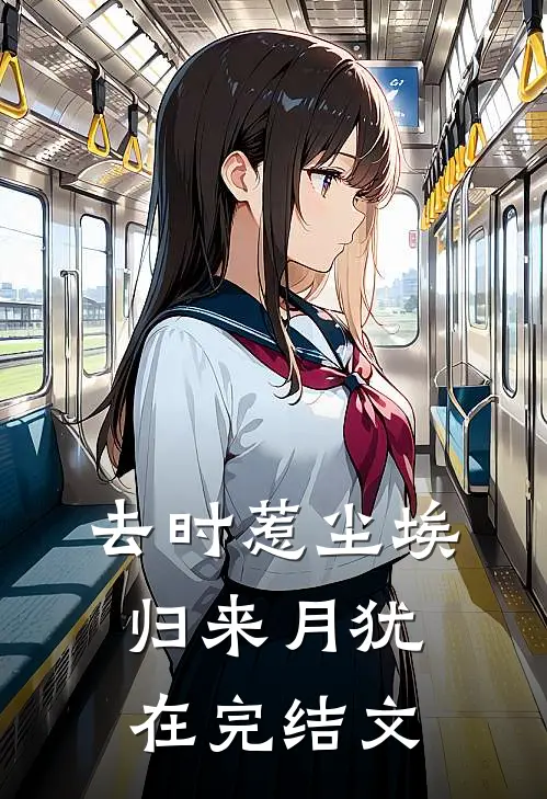 去时惹尘埃，归来月犹在完结文