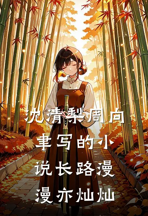 沈清梨周向聿写的小说长路漫漫亦灿灿