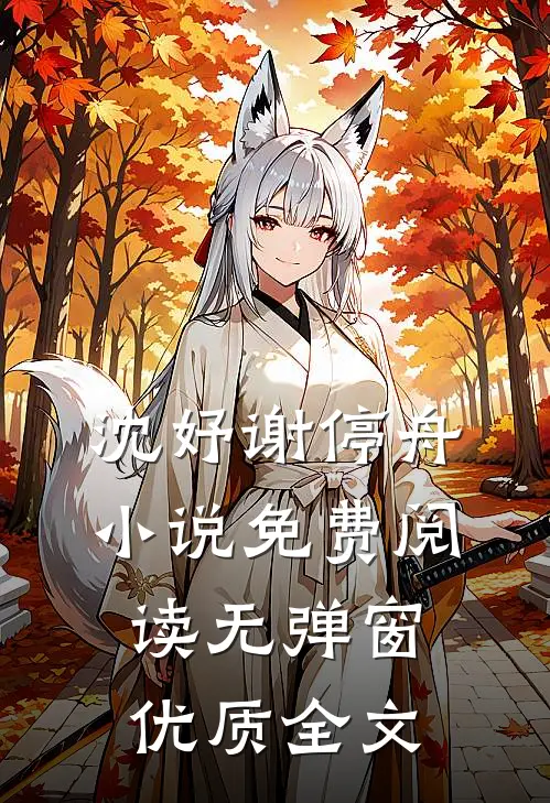 沈妤谢停舟小说免费阅读无弹窗优质全文