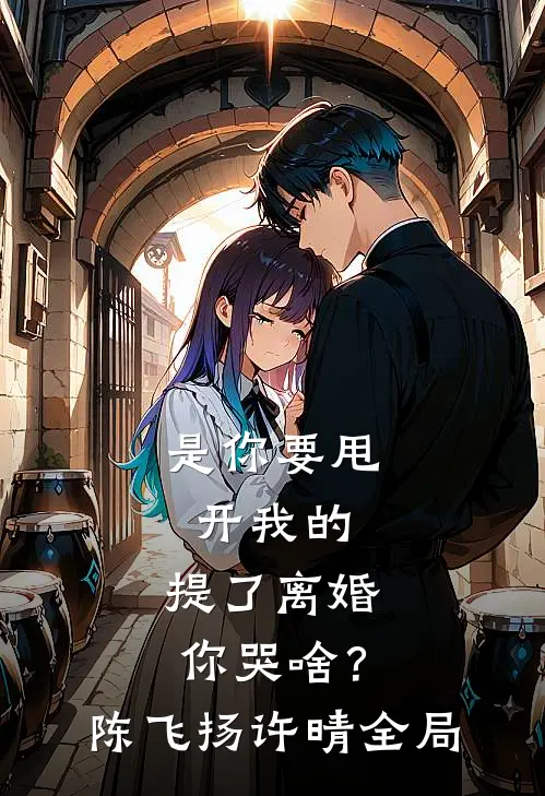 是你要甩开我的，提了离婚你哭啥？陈飞扬许晴全局