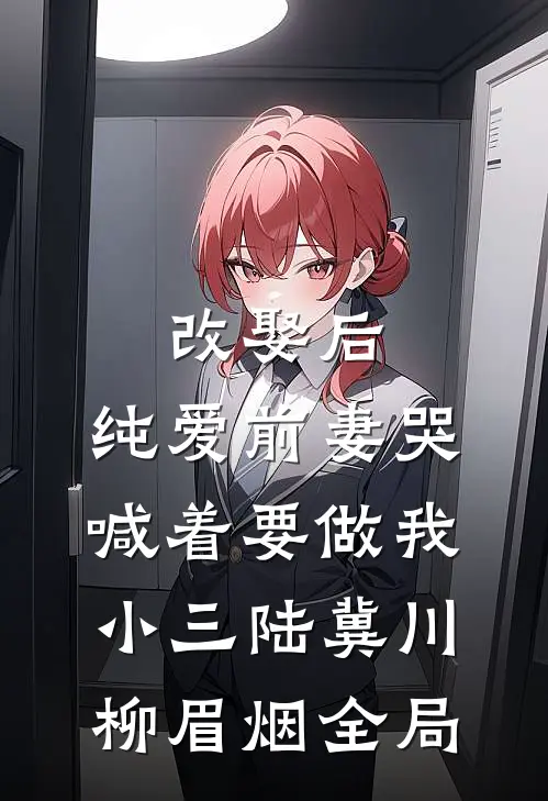 改娶后，纯爱前妻哭喊着要做我小三陆冀川柳眉烟全局