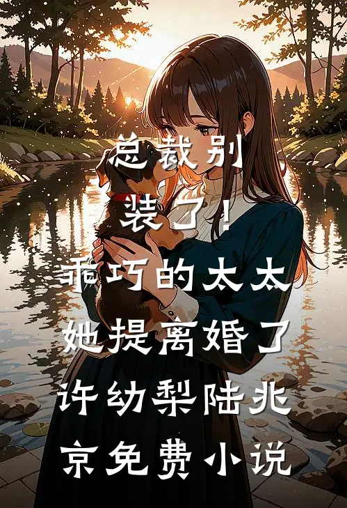 总裁别装了！乖巧的太太她提离婚了许幼梨陆兆京免费小说