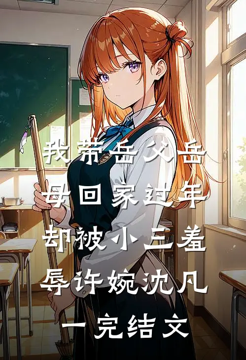 我带岳父岳母回家过年，却被小三羞辱许婉沈凡一完结文