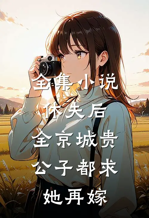 全集小说休夫后，全京城贵公子都求她再嫁