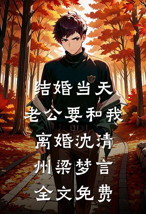 结婚当天，老公要和我离婚沈清州梁梦言全文免费