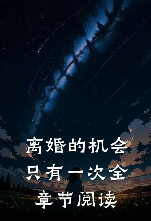 离婚的机会只有一次全章节阅读