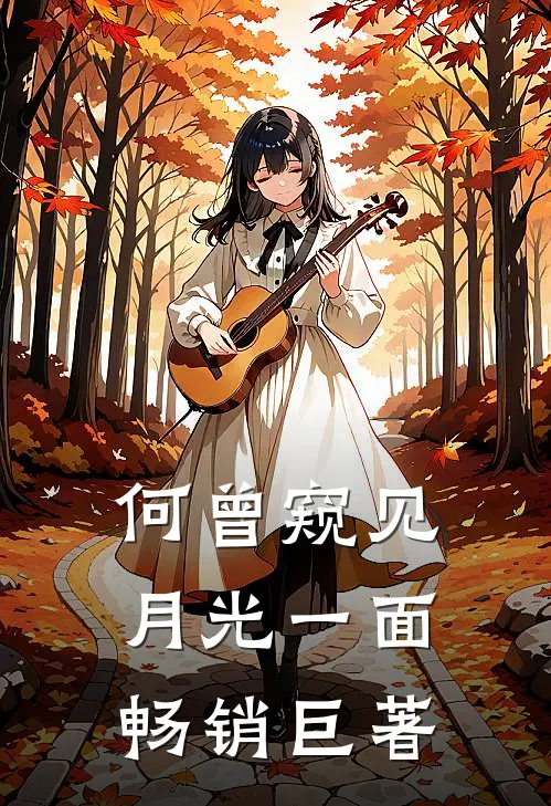何曾窥见月光一面畅销巨著
