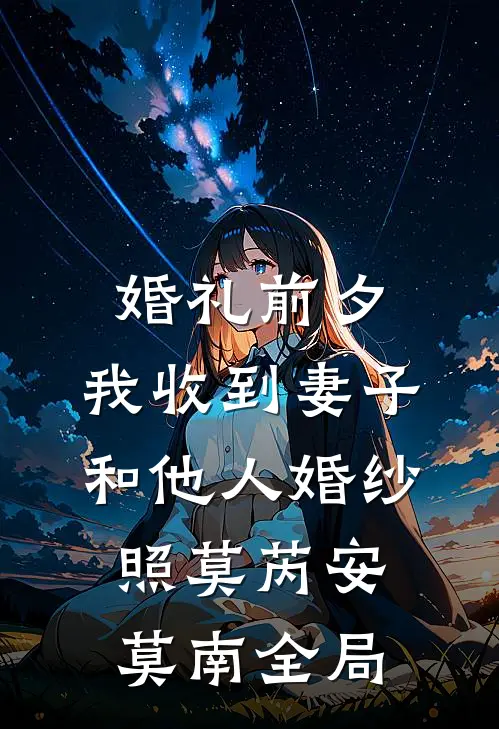 婚礼前夕，我收到妻子和他人婚纱照莫芮安莫南全局