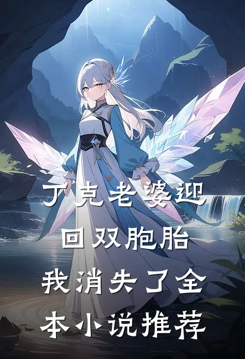 丁克老婆迎回双胞胎，我消失了全本小说推荐