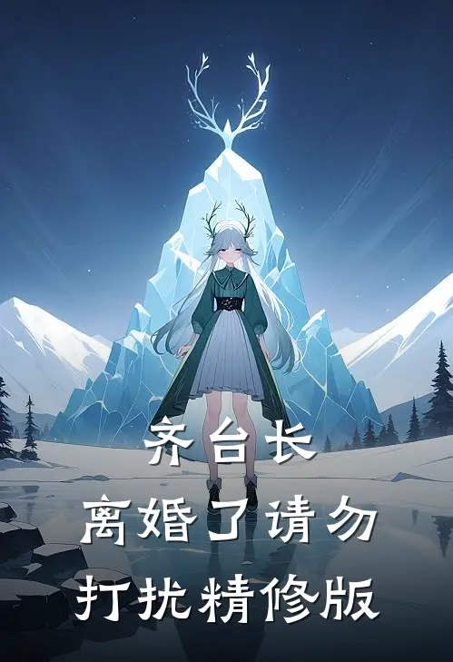 齐台长，离婚了请勿打扰精修版