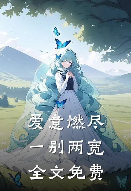 爱意燃尽，一别两宽全文免费