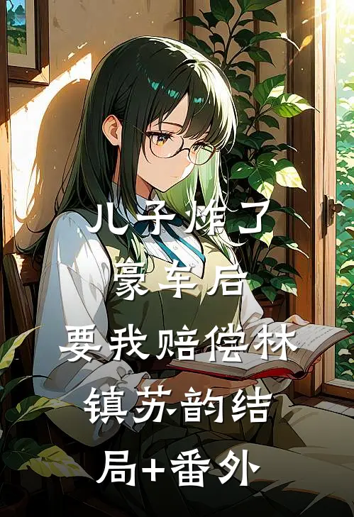 儿子炸了豪车后，要我赔偿林镇苏韵结局+番外