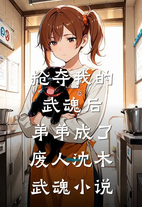 抢夺我的武魂后，弟弟成了废人沈木武魂小说