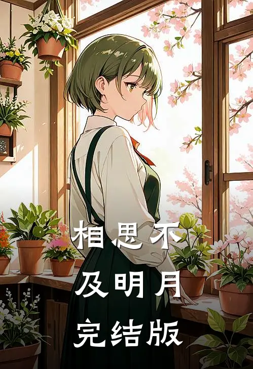 相思不及明月完结版