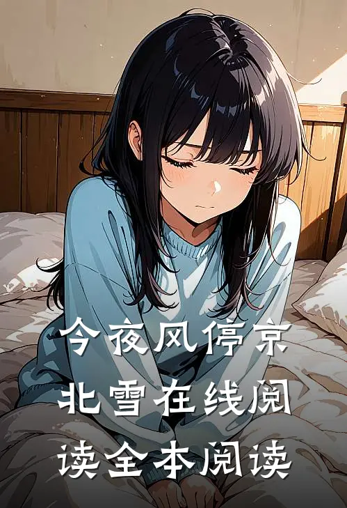 今夜风停京北雪在线阅读全本阅读