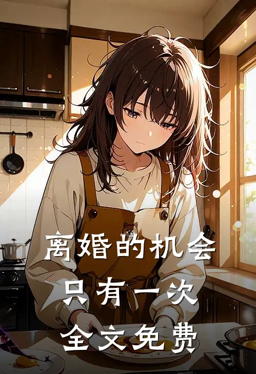 离婚的机会只有一次全文免费