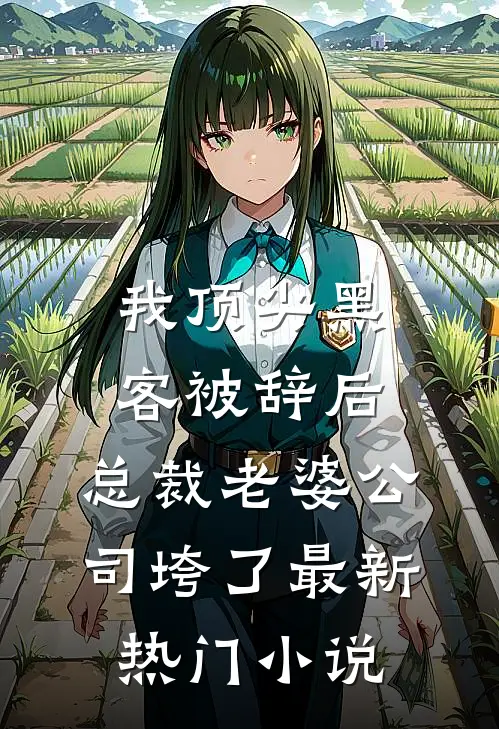 我顶尖黑客被辞后，总裁老婆公司垮了最新热门小说