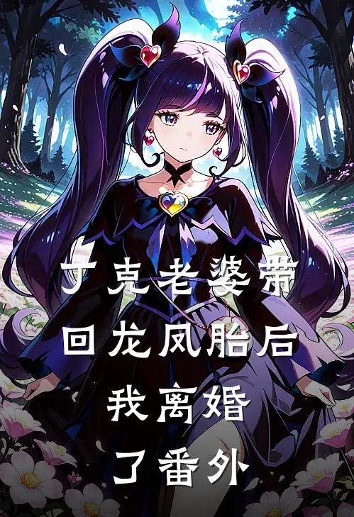 丁克老婆带回龙凤胎后，我离婚了 番外
