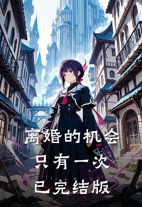 离婚的机会只有一次已完结版