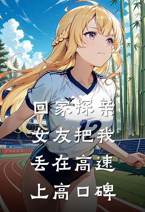 回家探亲，女友把我丢在高速上高口碑