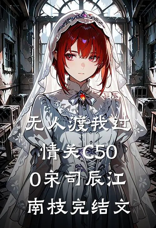 无人渡我过情关C500宋司辰江南枝完结文