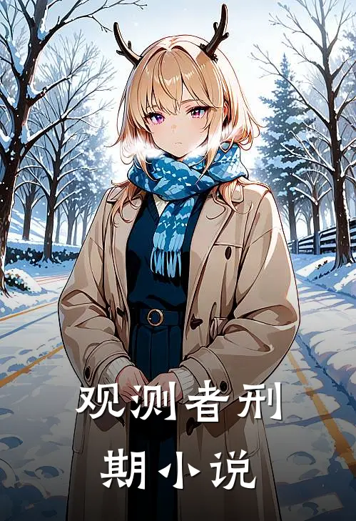 《观测者刑期》小说