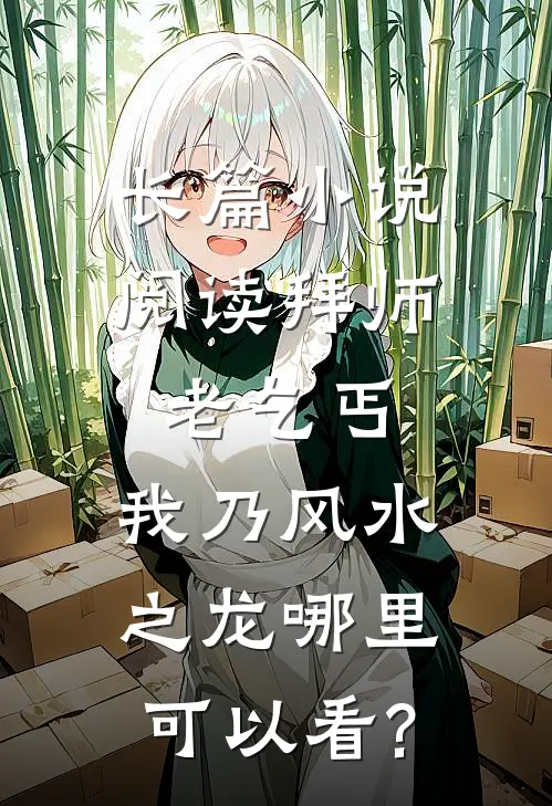 长篇小说阅读拜师老乞丐:我乃风水之龙哪里可以看?