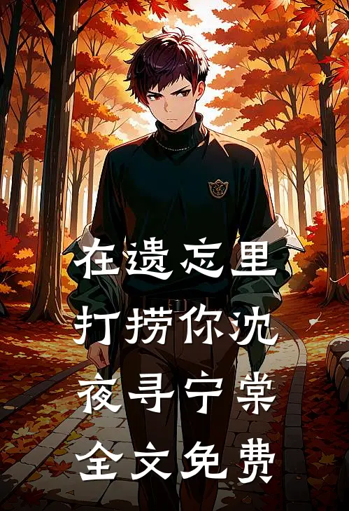 在遗忘里打捞你沈夜寻宁棠全文免费