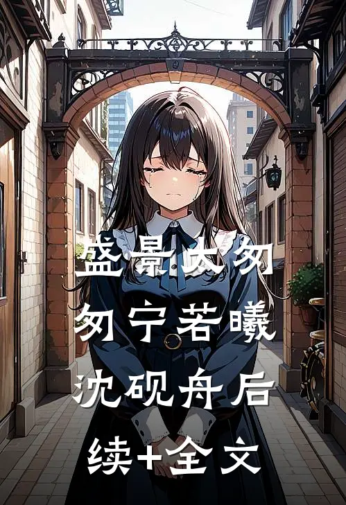 盛景太匆匆宁若曦沈砚舟后续+全文