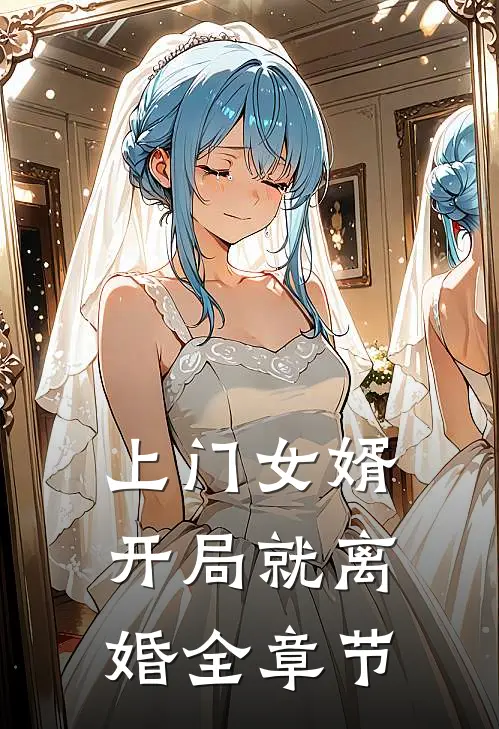 上门女婿开局就离婚全章节