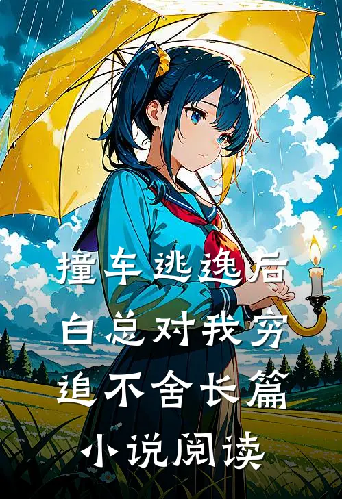 撞车逃逸后，白总对我穷追不舍长篇小说阅读