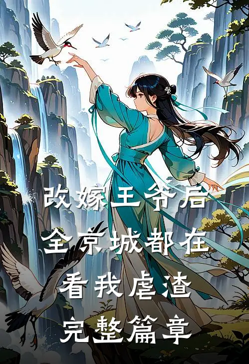 改嫁王爷后，全京城都在看我虐渣完整篇章