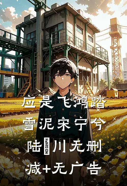 应是飞鸿踏雪泥宋宁兮陆璟川无删减+无广告