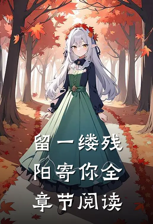 留一缕残阳寄你全章节阅读
