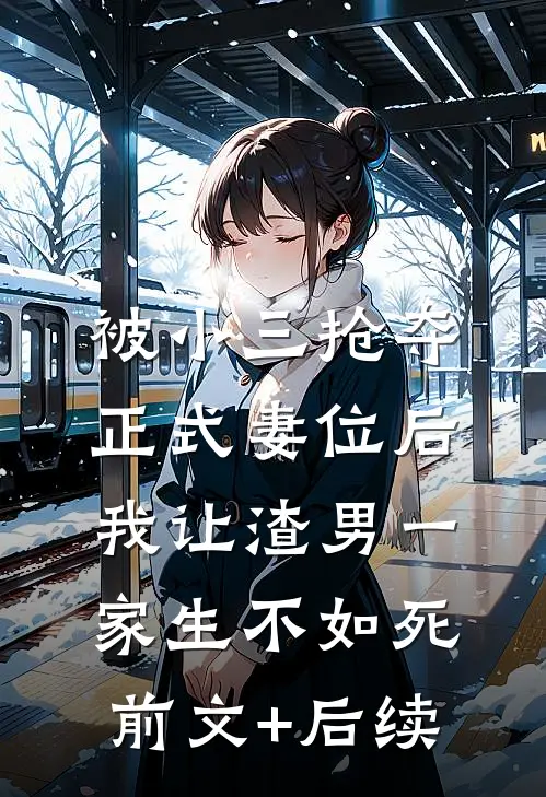 被小三抢夺正式妻位后，我让渣男一家生不如死前文+后续