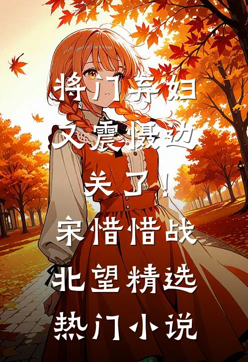 将门弃妇又震慑边关了！宋惜惜战北望精选热门小说