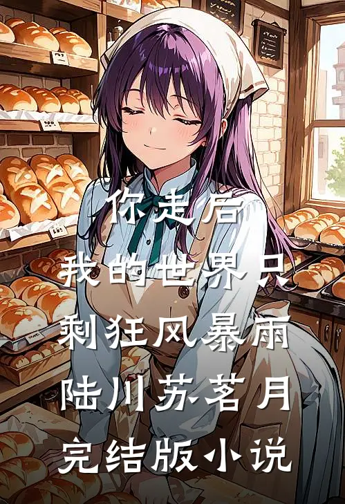 你走后，我的世界只剩狂风暴雨陆川苏茗月完结版小说