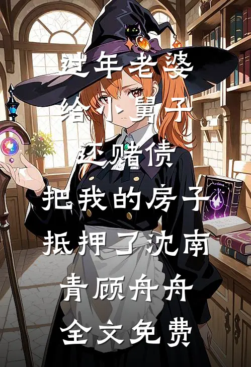 过年老婆给小舅子还赌债，把我的房子抵押了沈南青顾舟舟全文免费