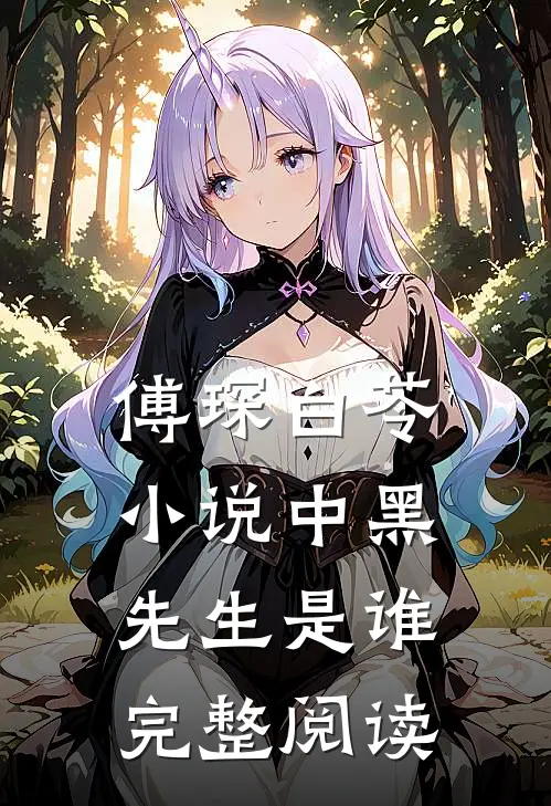 傅琛白苓小说中黑先生是谁完整阅读