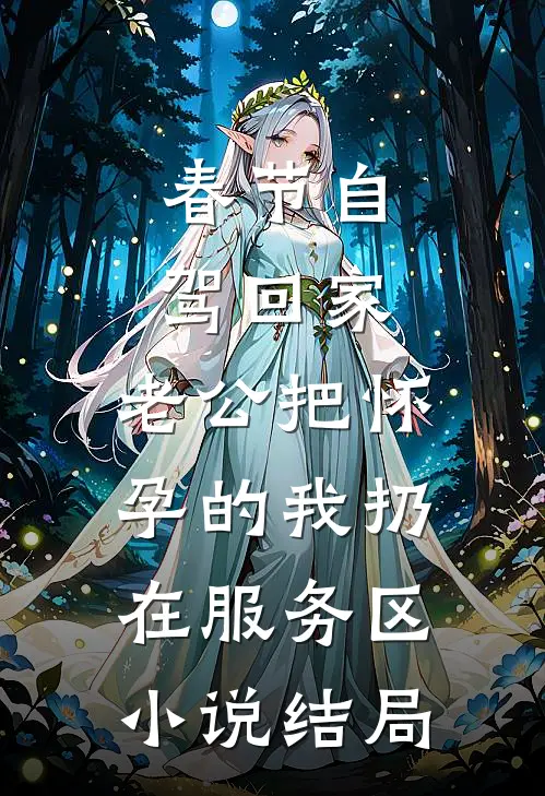 春节自驾回家，老公把怀孕的我扔在服务区小说结局