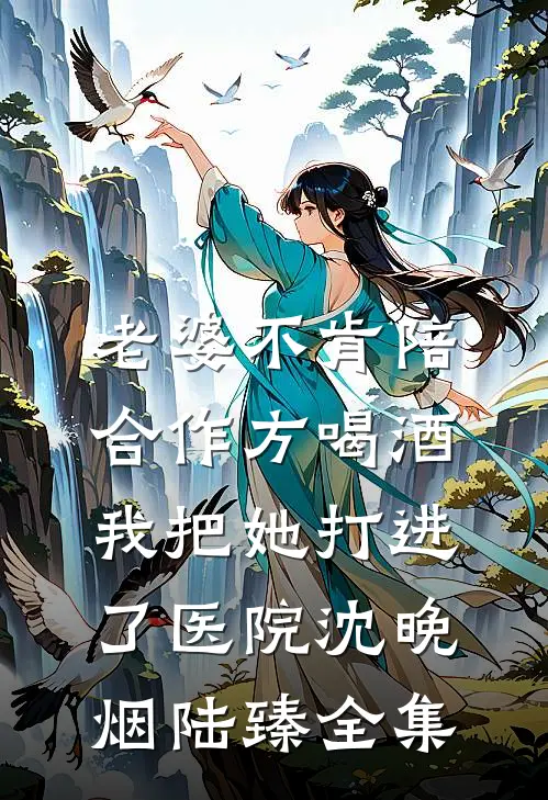 老婆不肯陪合作方喝酒，我把她打进了医院沈晚烟陆臻全集