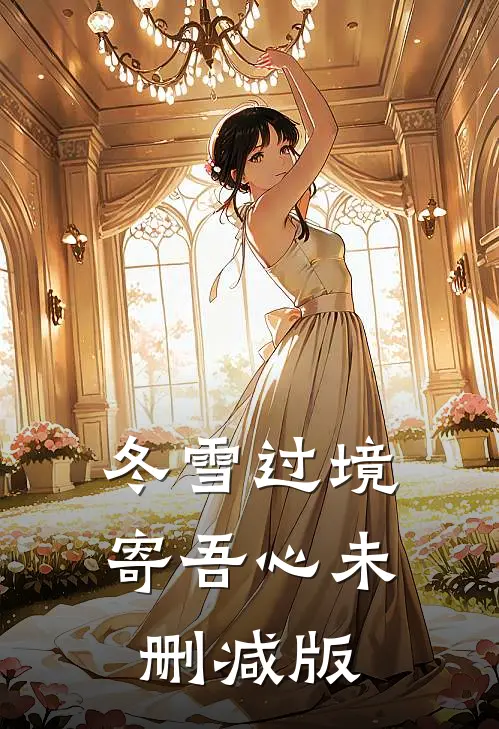 冬雪过境寄吾心未删减版