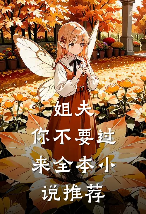 姐夫，你不要过来全本小说推荐