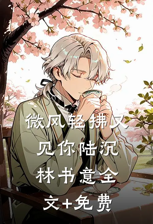 微风轻拂又见你陆沉林书意全文+免费
