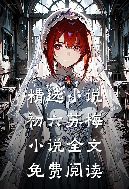 精选小说初六苏梅小说全文免费阅读